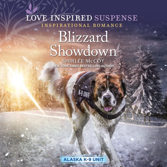 Blizzard Showdown - cover