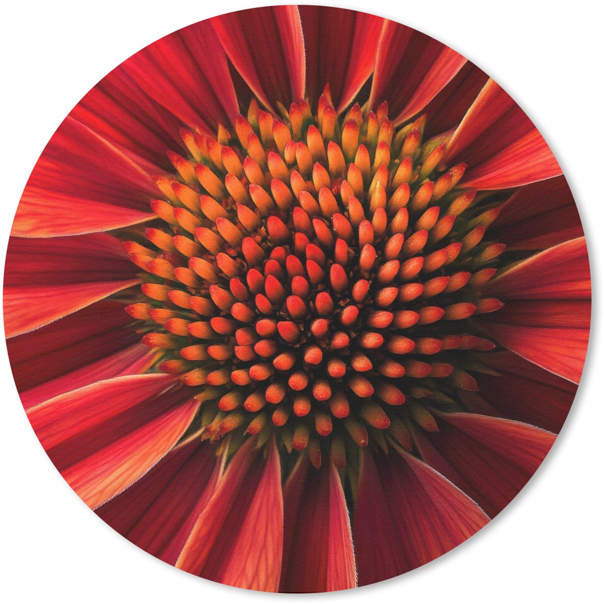 Muismat rond 30x30 cm - Mousepad Close up - Bloem- Rood - Ronde muismatten