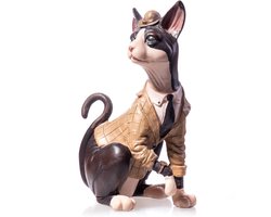 Katdootje - Sphynx