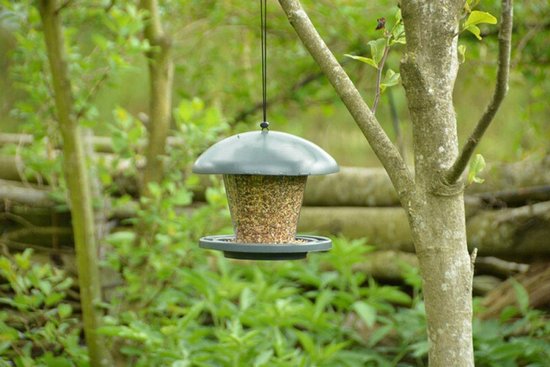 Mangeoire à oiseaux en plastique vert foncé remplie de graines pour oiseaux, suspendue à une branche d'arbre avec des feuilles vertes en arrière-plan.