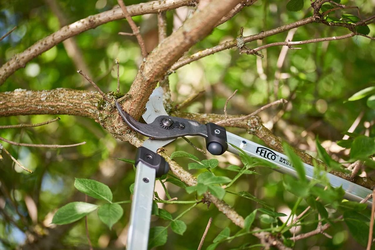 Felco Sécateur 211-60, aluminium 600 mm