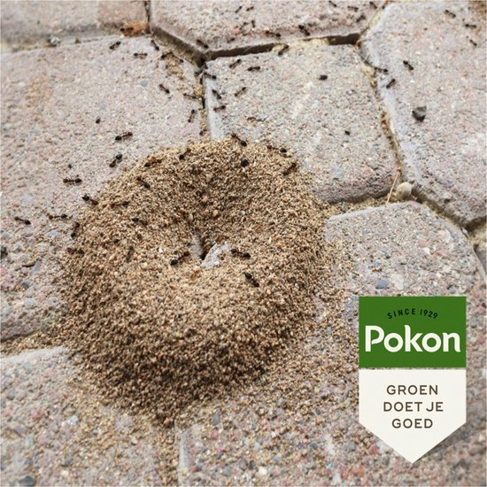 Pokon tegen Mieren Korrels - 400g - Mieren bestrijden - 40g per 1L water - Mierenpoeder