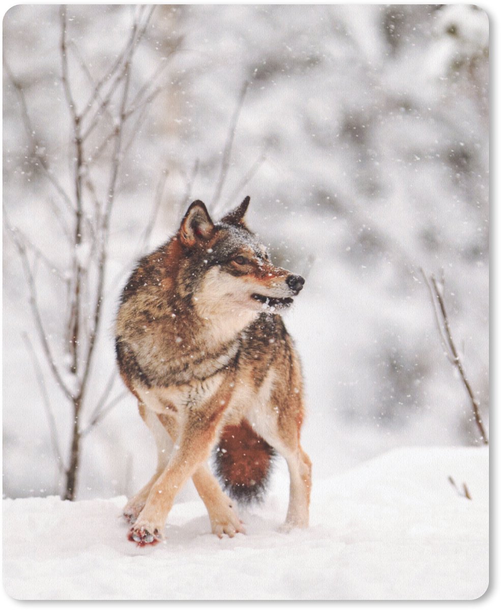 Muismat 19x23 cm - Mousepad Wolf - Winter - Sneeuw - Natuur - Dieren - Muismatten
