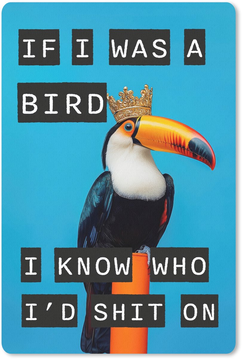 Muismat 18x27 cm - Mousepad Vogel - Toekan - Blauw - Quotes - Muismatten