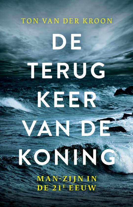 De terugkeer van de koning - cover
