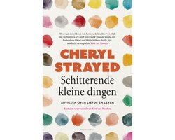 Omslag van Schitterende kleine dingen