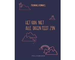 Omslag van Het kan niet alle dagen feest zijn