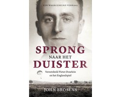 Omslag van Sprong naar het duister