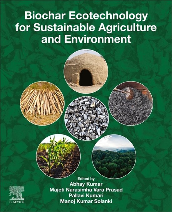 Biochar Ecotechnology for Sustainable Agriculture and Enviro ... - cover