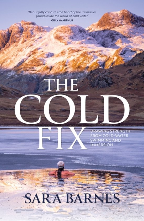 The Cold Fix - cover