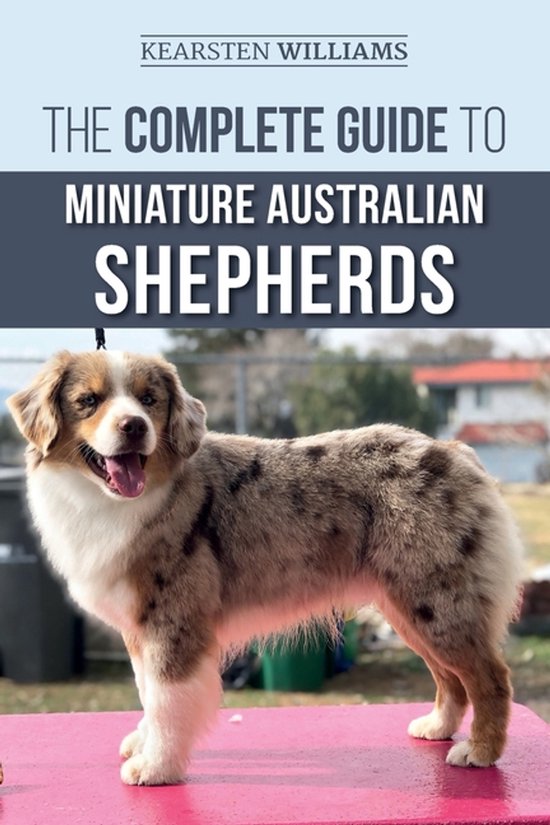 Miniature Australian Shepherd met een blauw-rode vacht en witte borst, staand op een roze tafel. 'The Complete Guide to Miniature Australian Shepherds'.