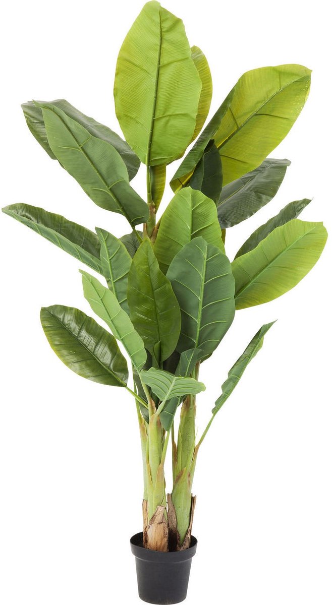 Kunstplanten bananenboom 180cm Kare Design