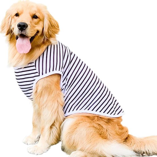 Doppelherz für Tiere Haut & Fell Complex für Hunde 60 St - Shop Apotheke