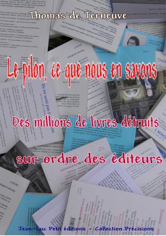 précisions - Le pilon, ce que nous en savons - cover
