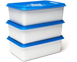 Alaska diepvriesdozen - 3x2000ml - Diepvries vershousbakjes - Stapelbare bewaarbakjes - BPA-vrij - Microgolfoven veilig - Wit&Blauw