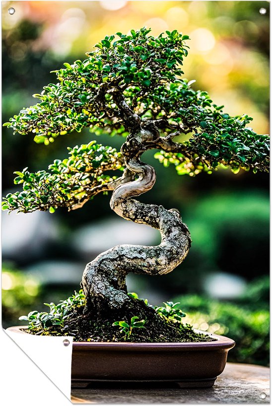 Gedetailleerde bonsai-boom in pot - Bonsai posters - Tuinschilderij boom - Realistische kunst - Schutting decoratie - Tuin decoratie muurdecoratie - Tuinposter 70x105 cm