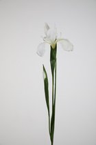 Kunstbloem - Iris - topkwaliteit decoratie - 2 stuks - zijden bloem - wit - 75 cm hoog