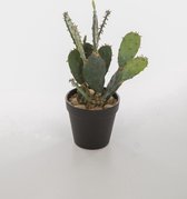 kunstplant - Opuntia Robusta - cactus - topkwaliteit plant - kamerplant - groen - 32 cm hoog