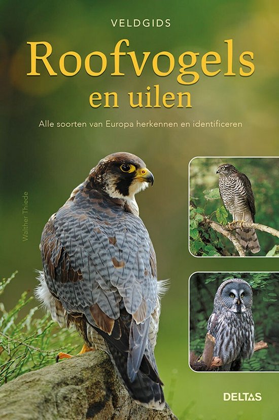 Veldgids - Roofvogels en uilen