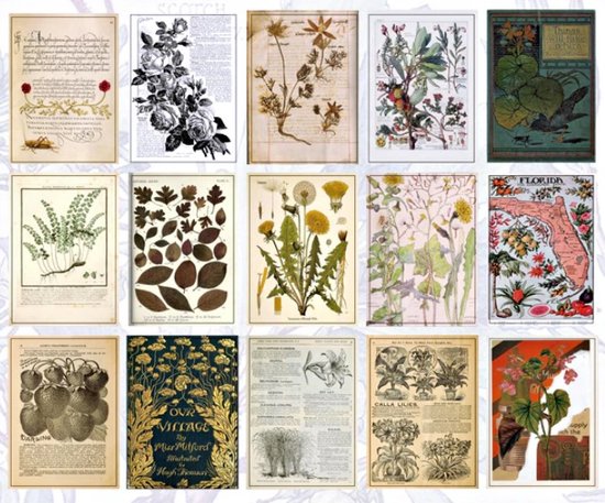 Scrapbook-papierset, 24 vellen, 15,2 x 15,2 cm, natuurlijk, elegant Scrapbook-papierset, 24 vellen, 15,2 x 15,2 cm, natuurlijk, elegant