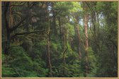 JUNIQE - Poster met kunststof lijst Australian Bushland -13x18 /Groen