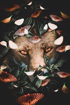 Hidden Fox - Plexiglas, 80x100