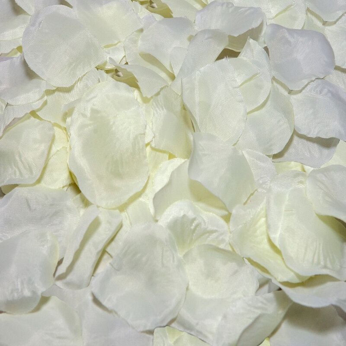 DIVERTY SEX - 100 Petals Color Vanilla