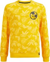 WE Fashion Jongens sweater met dessin