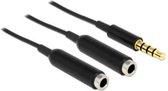 Delock 65575 Jackplug Audio Y-kabel [1x Jackplug male 3,5 mm - 2x Jackplug female 3,5 mm] 25.00 cm Zwart