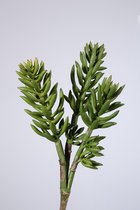 Kunstplant - Succulent - vetplant - topkwaliteit decoratie - 2 stuks - zijden tak - Groen - 40 cm hoog