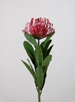 Kunstbloem - Leucospermum - topkwaliteit decoratie - 2 stuks - zijden bloem - Rood - 66 cm hoog