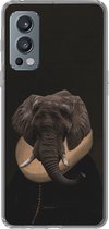 Telefoonhoesje Geschikt voor OnePlus Nord 2 5G hoesje - Olifant - Kunst - Dieren - Siliconen Telefoonhoesje