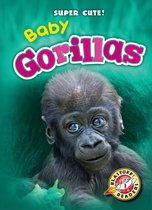 Super Cute! - Baby Gorillas