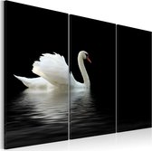 Schilderij - A lonely white swan.