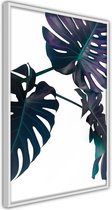 Poster - Evergreen Monstera