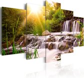 Schilderij - Forest Waterfall.