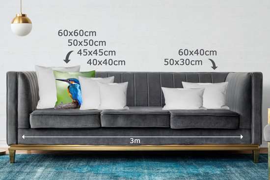 Coussins Coussins décoratifs - Oreillers Salon - 50x50 cm - Martin-pêcheur - Branche - Blauw