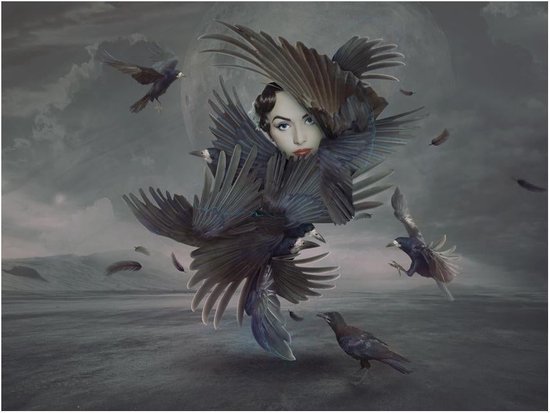 Papier peint photo - Couvert de plumes.