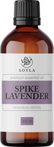 Spijklavendelolie - 100 ml - 100% Puur - Etherische olie van Spijklavendel olie - Spike Lavender