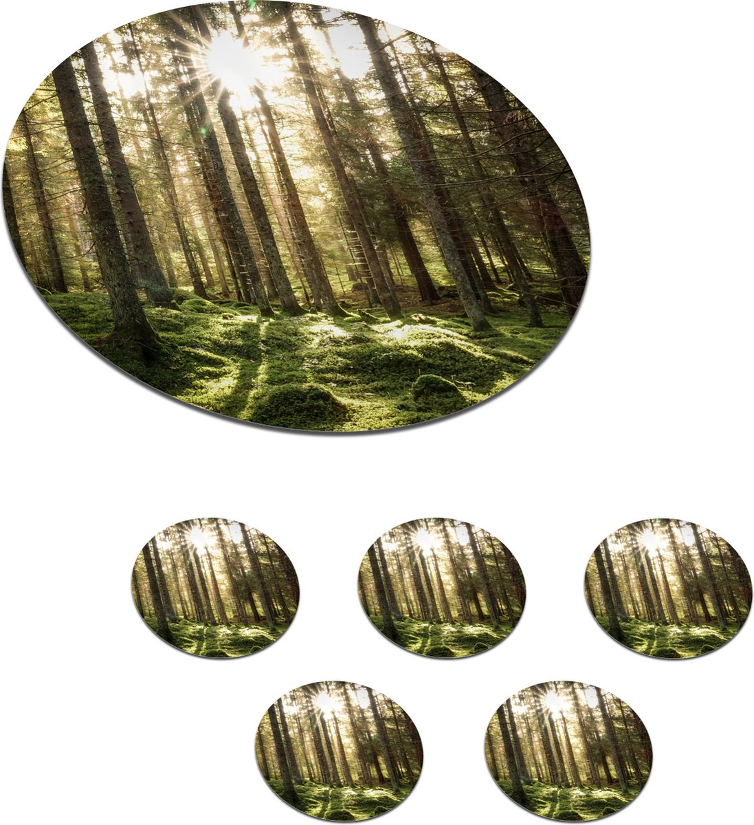 Onderzetters voor glazen - Rond - Bos - Mos - Boom - 10x10 cm - Glasonderzetters - 6 stuks