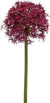 Kunstbloem Allium - Polyester - Rood - 80 cm hoog
