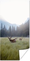 Poster Forêt - Cerf - Brouillard - 20x40 cm