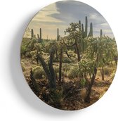 Artaza Houten Muurcirkel - Cactus Planten in het Wild - Ø 70 cm - Multiplex Wandcirkel - Rond Schilderij