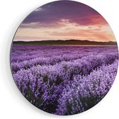 Artaza Dibond Cercle Mural Champ De Fleurs Avec Lavande Violette - Fleurs - Ø 90 cm - Groot - Cercle Mural - Tableau Rond - Pour Intérieur et Extérieur