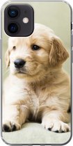 Geschikt voor iPhone 12 hoesje - Golden Retriever puppy liggend op de bank - Siliconen Telefoonhoesje