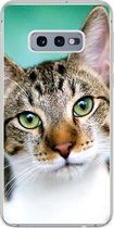 Coque Samsung Galaxy S10e - Chat - Portrait - Yeux - Coque de téléphone en Siliconen