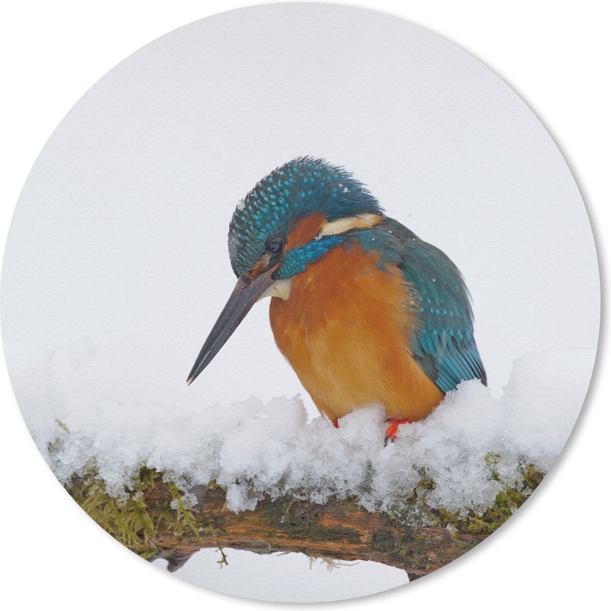 Muismat rond 20x20 cm - Mousepad IJsvogel - Sneeuw - Winter - Ronde muismatten
