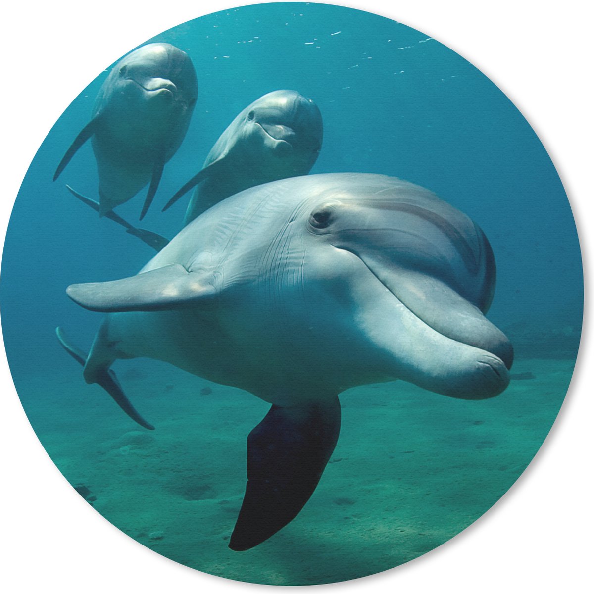 Muismat rond 40x40 cm - Mousepad Water - Dolfijn - Blauw - Ronde muismatten