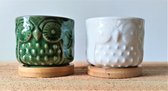 Bloempotjes - uiltjes - met schotel - wit en groen - keramiek - set van 2 stuks - potmaat 5