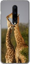 Geschikt voor OnePlus 7 Pro hoesje - Giraf - Boom - Kalf - Portret - Siliconen Telefoonhoesje